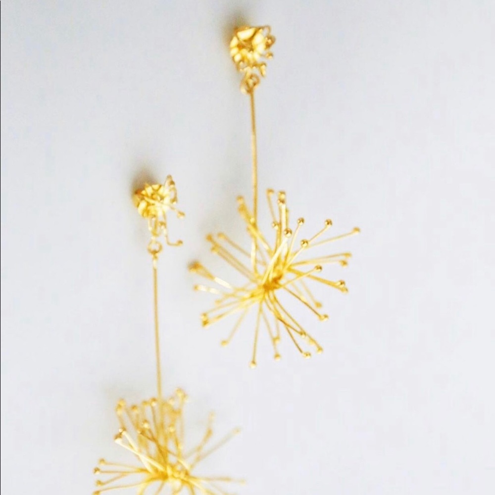 24k Gold Plated Earrings